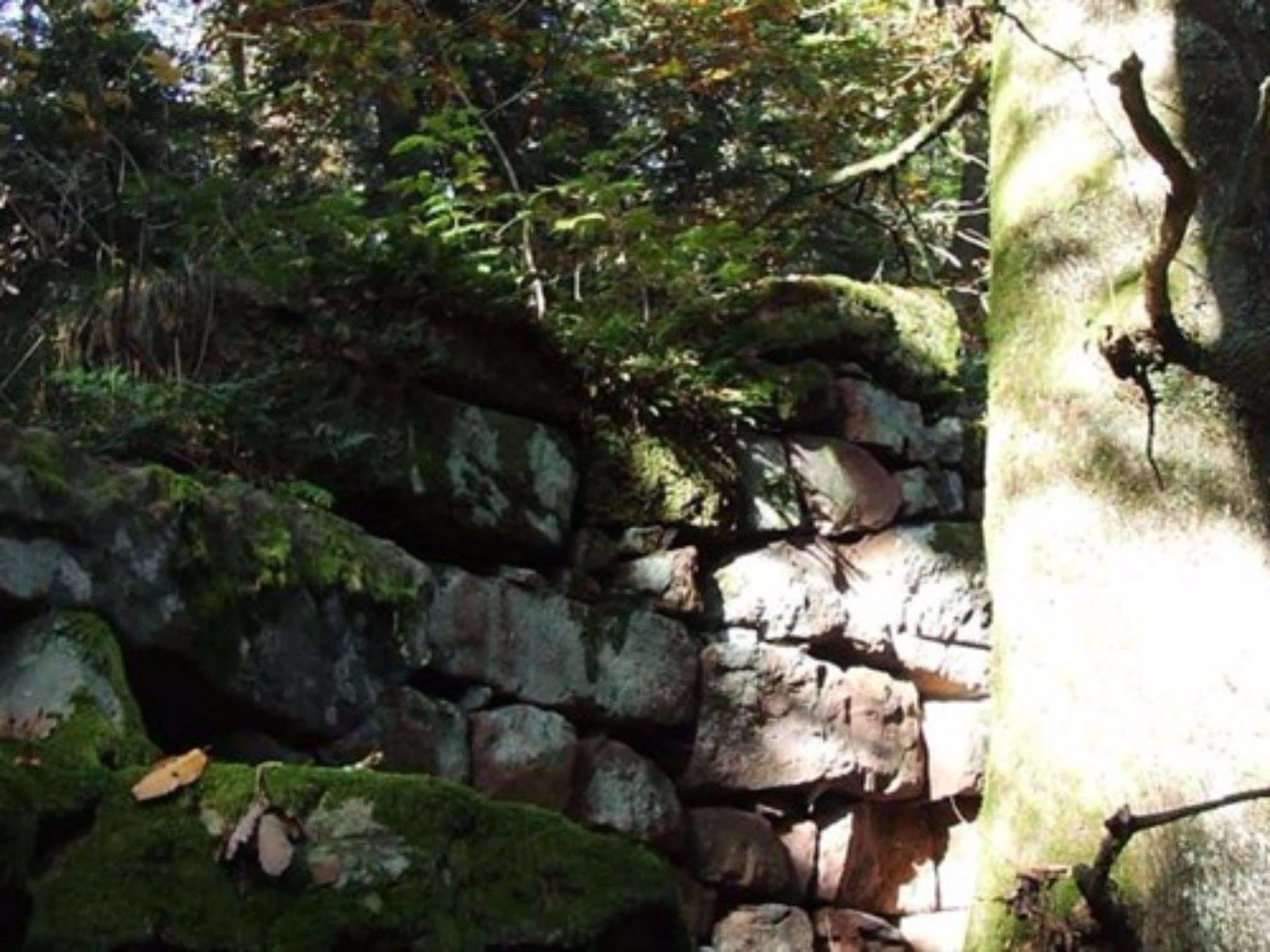 Auberge D'Hotes L'Instant Le Hohwald Exterior photo
